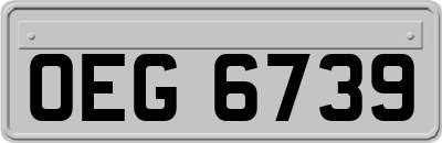 OEG6739