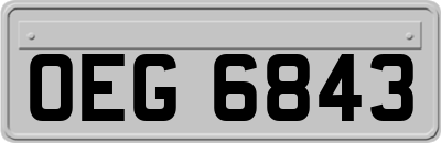 OEG6843