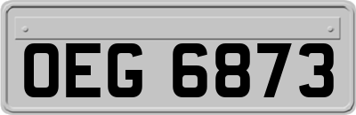 OEG6873