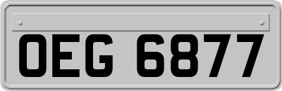 OEG6877