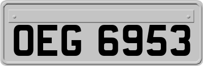 OEG6953
