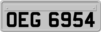 OEG6954