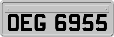 OEG6955