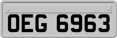 OEG6963
