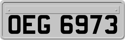 OEG6973