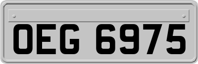 OEG6975