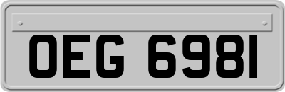 OEG6981
