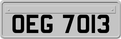 OEG7013