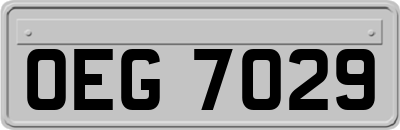 OEG7029