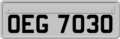 OEG7030