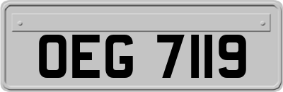 OEG7119