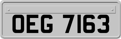 OEG7163