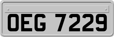 OEG7229