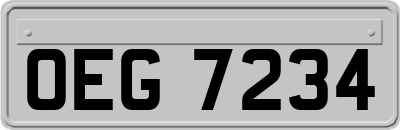 OEG7234