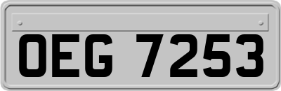 OEG7253
