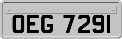 OEG7291