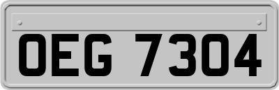OEG7304