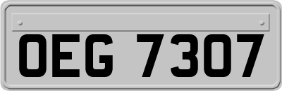 OEG7307