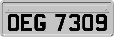 OEG7309