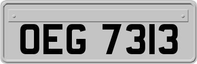 OEG7313