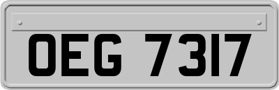 OEG7317