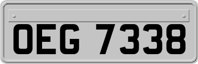 OEG7338