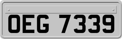 OEG7339
