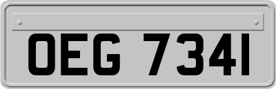 OEG7341