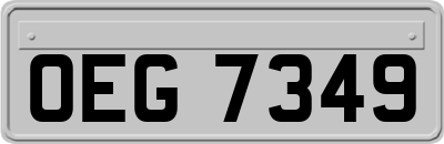 OEG7349