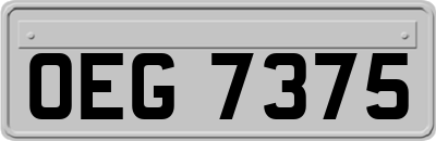 OEG7375
