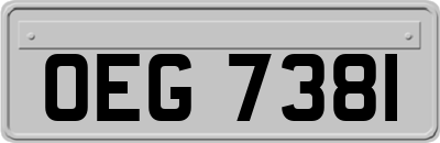 OEG7381