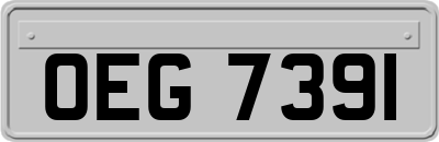 OEG7391