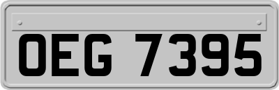 OEG7395