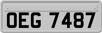 OEG7487