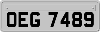 OEG7489