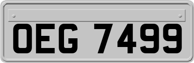 OEG7499