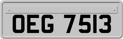 OEG7513