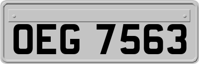 OEG7563
