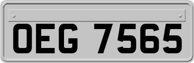 OEG7565