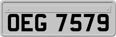 OEG7579