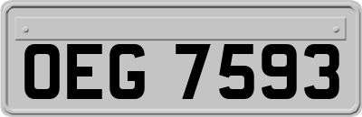 OEG7593