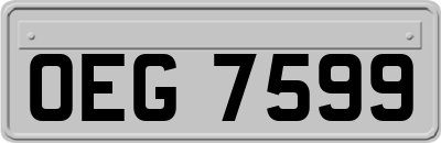 OEG7599