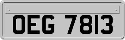 OEG7813