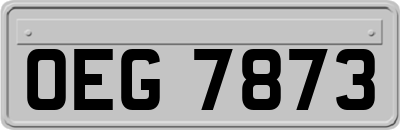 OEG7873