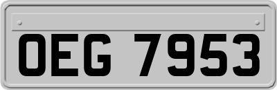 OEG7953