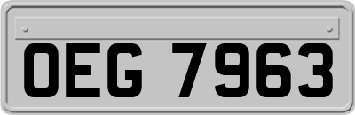 OEG7963