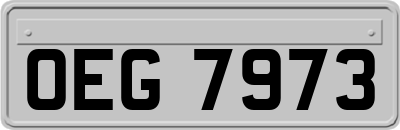 OEG7973
