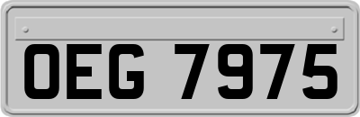 OEG7975