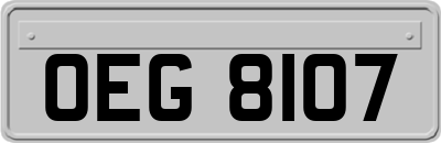 OEG8107