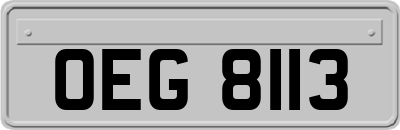 OEG8113